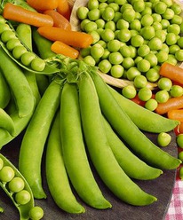 ������� ����� ������� ������