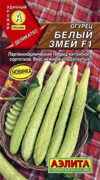 ����� ���� ��������� F1 ������