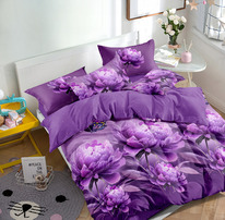 ������� ��������� �� ������� (����) 2��