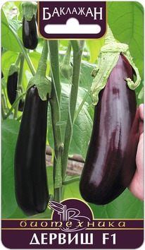 �������� ������ F1