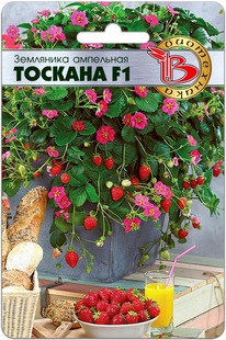 ��������� ��������� ������� F1