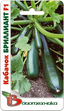 ������� ��������� F1