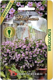 ������ ��������