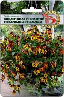 ����� ��������� ������ ���� F1 ������� � �������� ��������