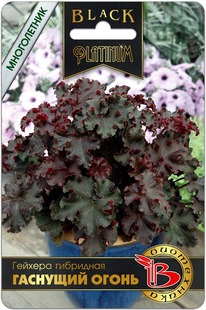 ������� ��������� �������� �����