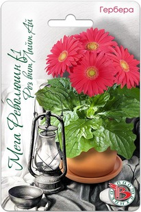 ������� ��������� ���� �������� F1 ��� ���� ��