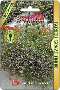 ��������� ������ ����� ����