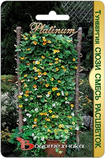 ��������� ���� ����� ���������