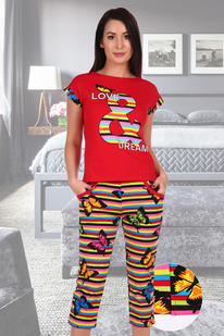 ������ ���������