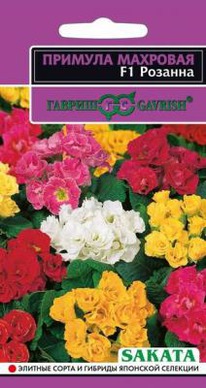 �������,����� ������� �������� F1 5��