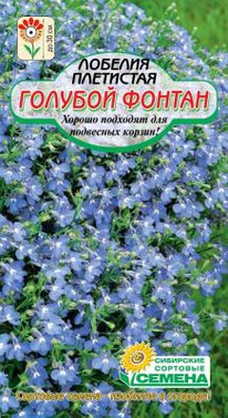 ������� ������ ��������� �������