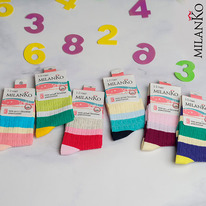 ������� ������������ ����� �� ��������� ������ MilanKo IN-084