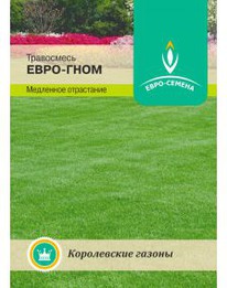 ����-���� 1�� ����������