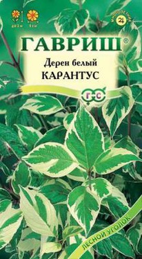 ����� �������� �����