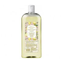 CITRUS CLEAN     1000