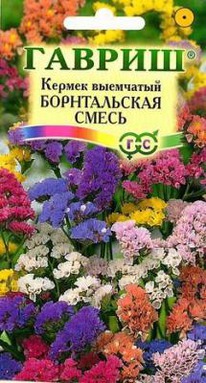 �������� ������������,�����