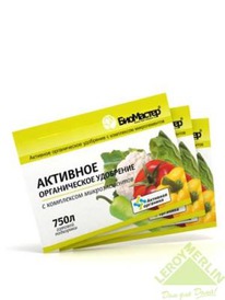 �� �������� �����. �����