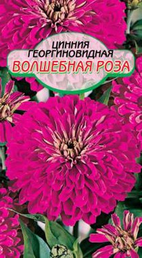 ��������� ���� ������