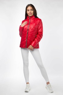 ������ ������������ (�������� 100)