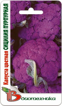 ������� ������� ������� ���������