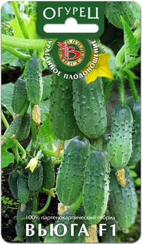 ������ ����� F1