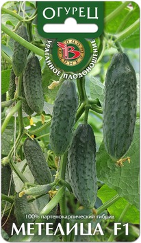 ������ �������� F1