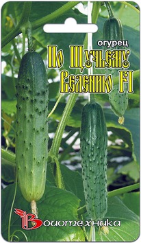 ������ �� ������� ������� F1