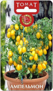 ����� ���������