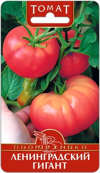 ����� ������������� ������