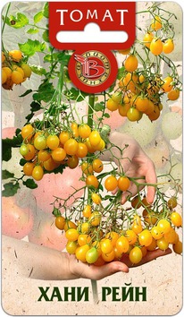 ����� ���� ����