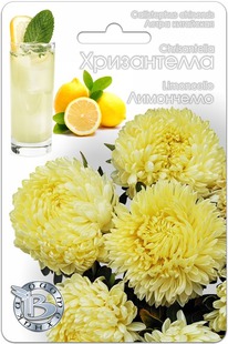 ����� ��������� ����������� ����������