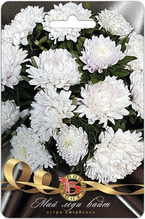 ����� ��������� ��� ���� ����