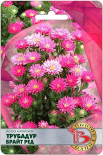 ����� ��������� �������� ����� ���