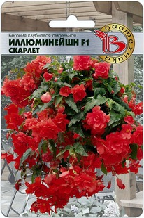 ������� ��������� ����������� F1 �������