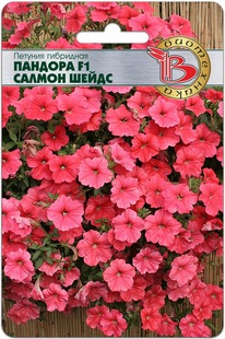 ������� ��������� ������� F1 ������ �����