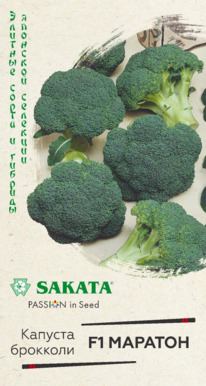 ������� F1 ������� ��������