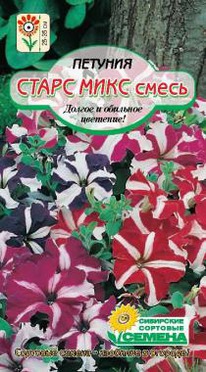 ����� ����, ����� �������