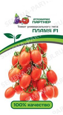 ����� F1 �����