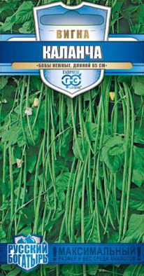 ����� (���� ���������) �������