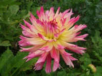 �������� ��������, �-� I, �������.