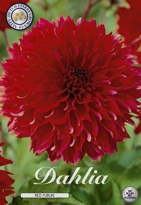 �������� ��� ������, �-� I, �������.