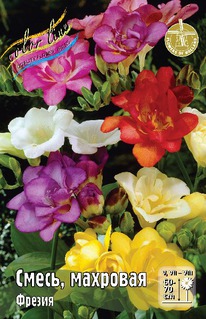 ������ �����, ��������, 5/6