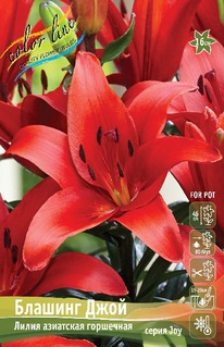 ����� ������� ����, 11/12, ��.����.