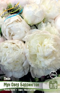 ���� ��� ���� ���������� 2/3n