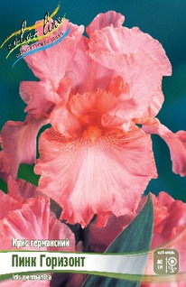 ���� ���������� ���� ��������