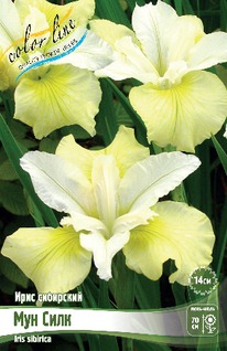 ���� ��������� ��� ����