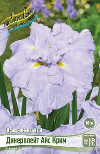 ���� ���������� ���������� ��� ����