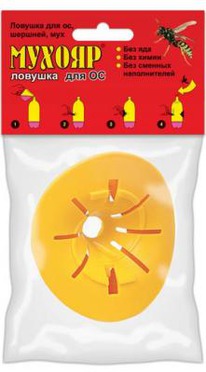 ������ ������� ��� ��, �������, ��� 1��