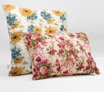 ������� �������� / ���������