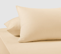 ��������� ����������� ���� 120 �/�2 �������